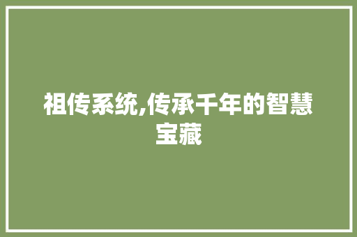 祖传系统,传承千年的智慧宝藏