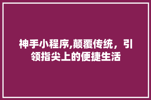 神手小程序,颠覆传统，引领指尖上的便捷生活