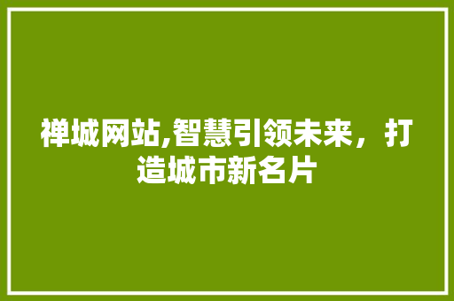 禅城网站,智慧引领未来，打造城市新名片