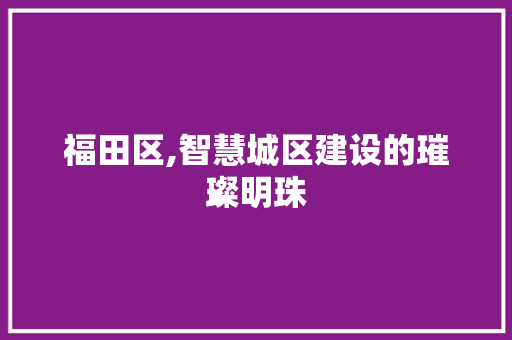 福田区,智慧城区建设的璀璨明珠