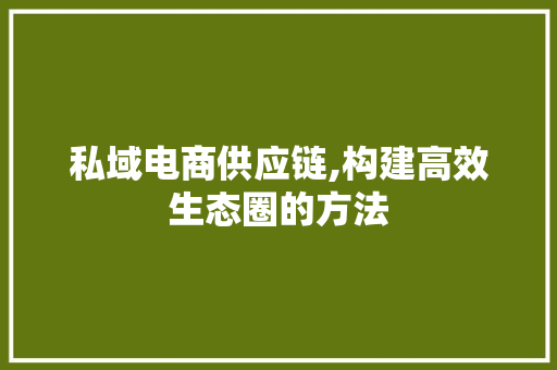 私域电商供应链,构建高效生态圈的方法