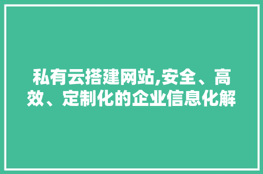私有云搭建网站,安全、高效、定制化的企业信息化解决方法