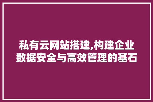 私有云网站搭建,构建企业数据安全与高效管理的基石