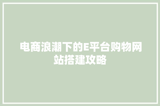 电商浪潮下的E平台购物网站搭建攻略