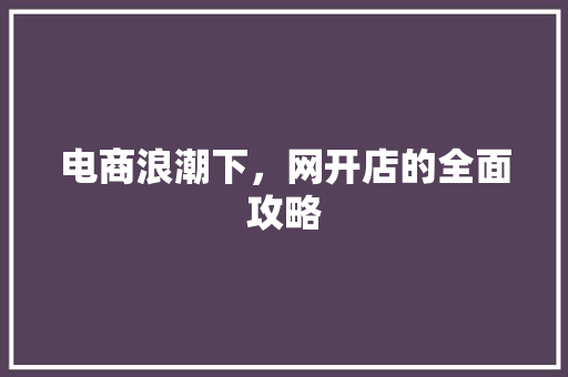 电商浪潮下，网开店的全面攻略