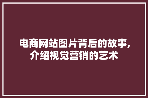 电商网站图片背后的故事,介绍视觉营销的艺术