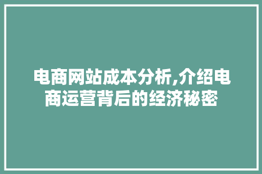 电商网站成本分析,介绍电商运营背后的经济秘密