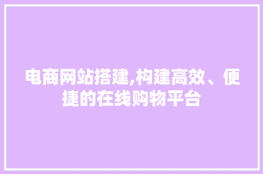 电商网站搭建,构建高效、便捷的在线购物平台