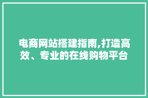 电商网站搭建指南,打造高效、专业的在线购物平台