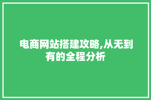 电商网站搭建攻略,从无到有的全程分析