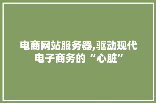 电商网站服务器,驱动现代电子商务的“心脏”