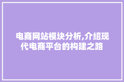 电商网站模块分析,介绍现代电商平台的构建之路
