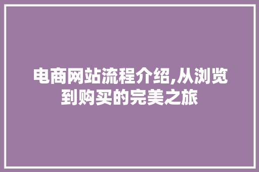 电商网站流程介绍,从浏览到购买的完美之旅