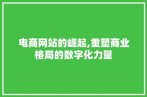 电商网站的崛起,重塑商业格局的数字化力量