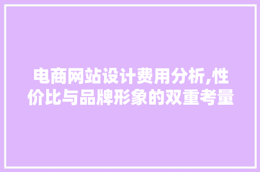 电商网站设计费用分析,性价比与品牌形象的双重考量