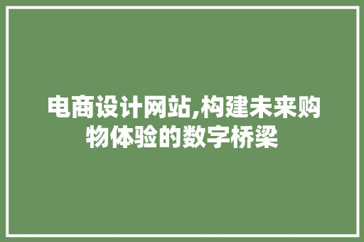 电商设计网站,构建未来购物体验的数字桥梁