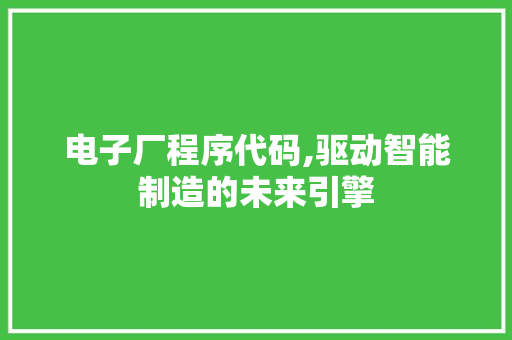 电子厂程序代码,驱动智能制造的未来引擎
