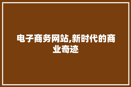 电子商务网站,新时代的商业奇迹