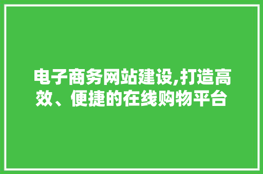 电子商务网站建设,打造高效、便捷的在线购物平台