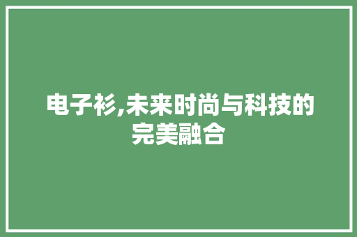 电子衫,未来时尚与科技的完美融合 电子衫,未来时尚与科技的完美融合 神马SEO