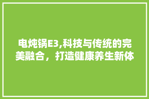 电炖锅E3,科技与传统的完美融合，打造健康养生新体验