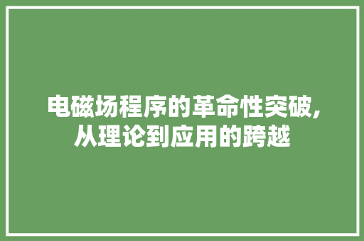 电磁场程序的革命性突破,从理论到应用的跨越