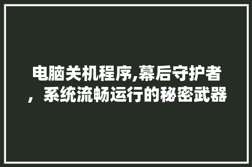 电脑关机程序,幕后守护者，系统流畅运行的秘密武器
