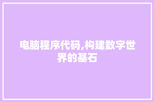 电脑程序代码,构建数字世界的基石