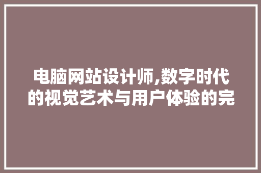 电脑网站设计师,数字时代的视觉艺术与用户体验的完美结合
