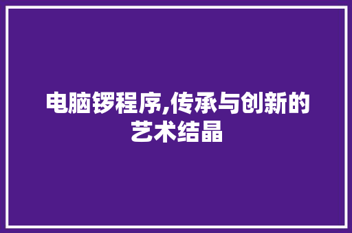 电脑锣程序,传承与创新的艺术结晶