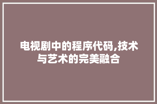 电视剧中的程序代码,技术与艺术的完美融合