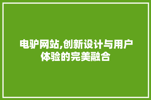 电驴网站,创新设计与用户体验的完美融合