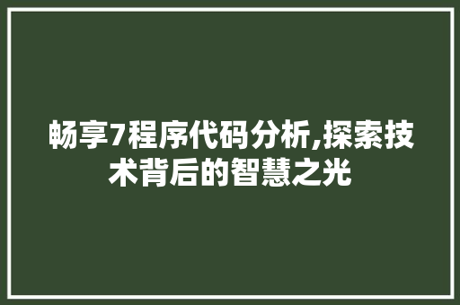 畅享7程序代码分析,探索技术背后的智慧之光