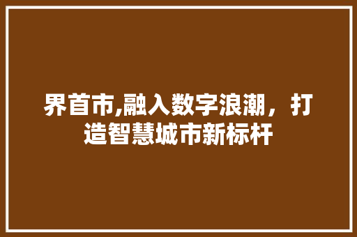 界首市,融入数字浪潮，打造智慧城市新标杆