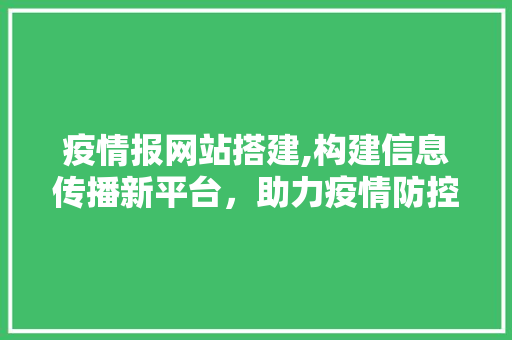 疫情报网站搭建,构建信息传播新平台，助力疫情防控
