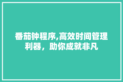 番茄钟程序,高效时间管理利器，助你成就非凡