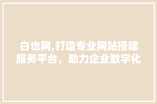 白也网,打造专业网站搭建服务平台，助力企业数字化转型