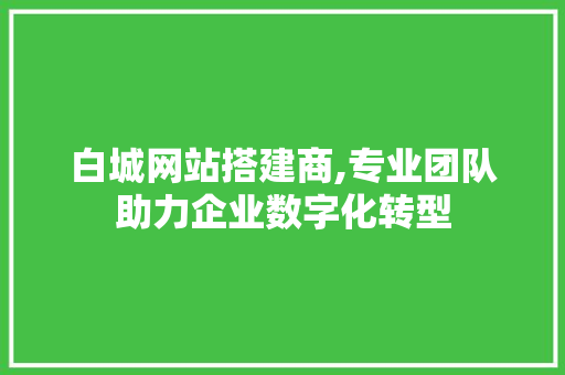 白城网站搭建商,专业团队助力企业数字化转型
