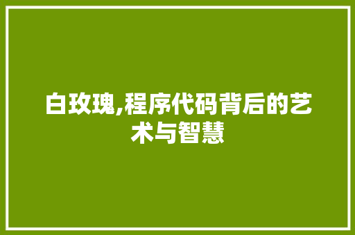 白玫瑰,程序代码背后的艺术与智慧