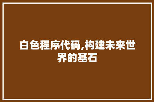 白色程序代码,构建未来世界的基石