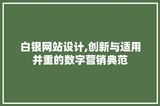 白银网站设计,创新与适用并重的数字营销典范