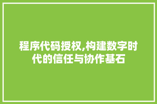 程序代码授权,构建数字时代的信任与协作基石