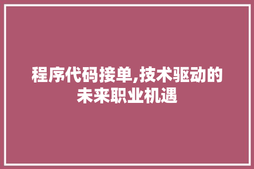 程序代码接单,技术驱动的未来职业机遇