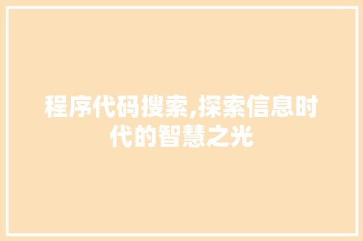 程序代码搜索,探索信息时代的智慧之光