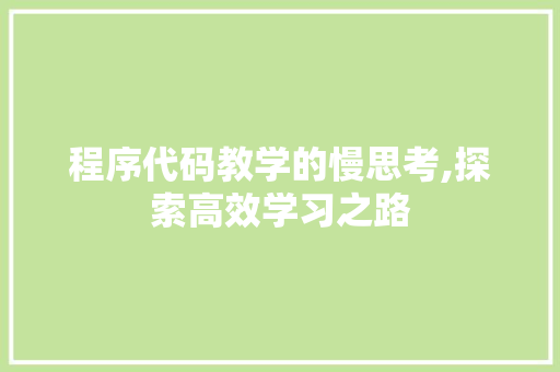 程序代码教学的慢思考,探索高效学习之路