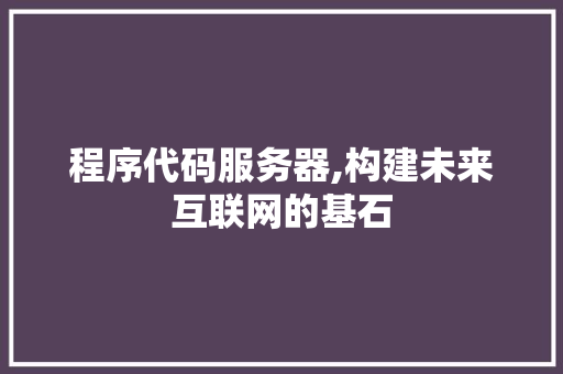程序代码服务器,构建未来互联网的基石
