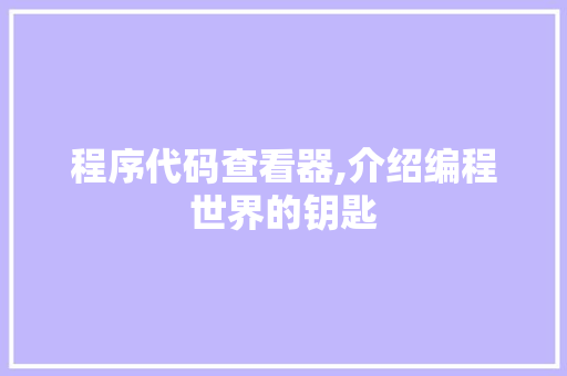 程序代码查看器,介绍编程世界的钥匙