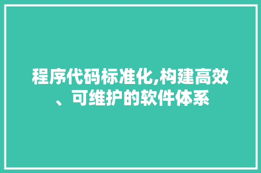 程序代码标准化,构建高效、可维护的软件体系