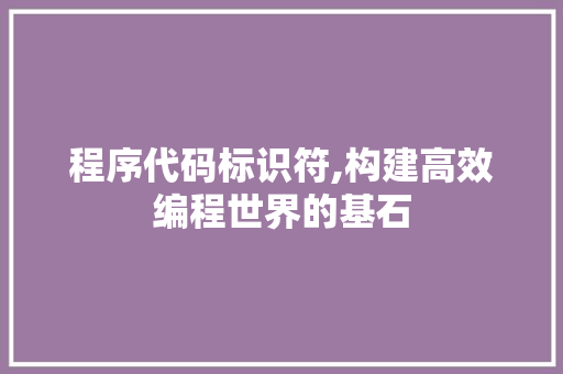 程序代码标识符,构建高效编程世界的基石