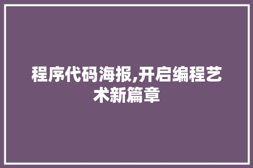 程序代码海报,开启编程艺术新篇章